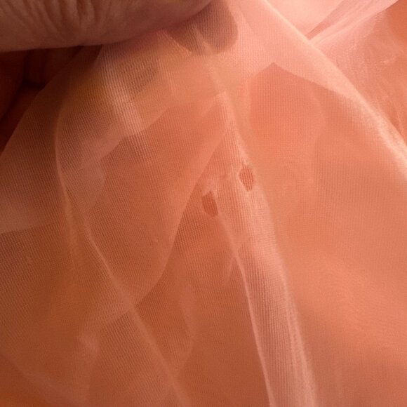 Vintage Pink Sheer Nightgown With Lace Sleeves & Embroidery Details - Picture 9 of 11